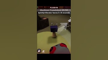 Vee outspeeds Twisted Pebble | Dandy
