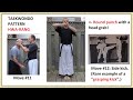 Baehr taekwondo moves the book got wrong taekwondo pattern hwarang move 11