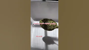 تكثيف الشعر وتطويلها بالحناء من تجربه 
