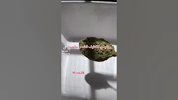 تكثيف الشعر وتطويلها بالحناء من تجربه 