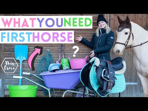Video: Alt du trenger å vite om Ponies og deres omsorg