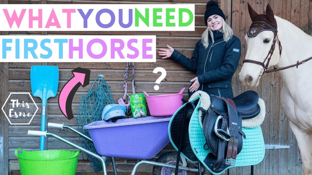What You Need For Your First Horse! Ad | This Esme