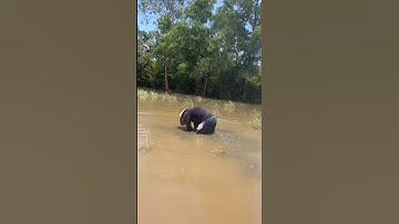 Bắt Được Nó Phải Có Nhiều Năm Kinh Nghiệm