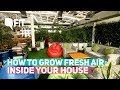 How to Grow Fresh Air Inside Your House Amidst Pollution | Quint Fit