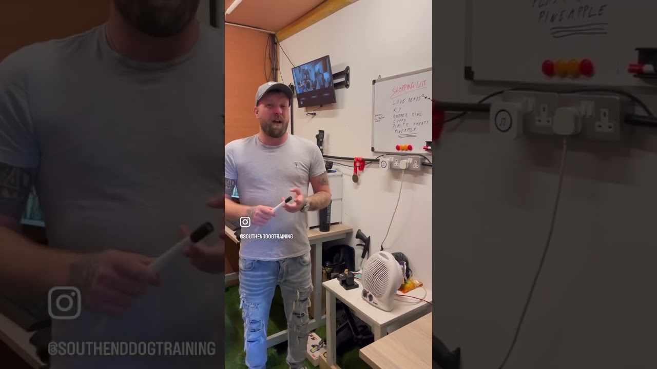 Xl Bully’s Good And Bad 