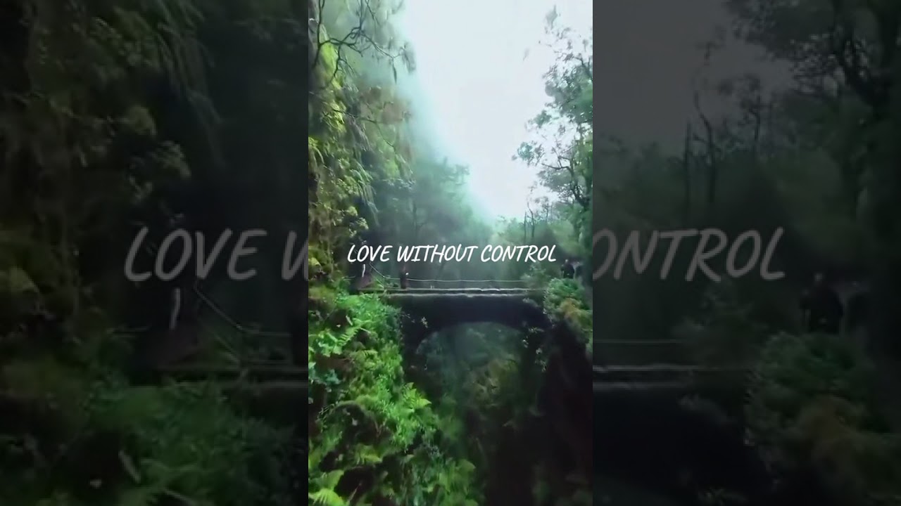 Download LOVE WITHOUT CONTROL REGGAE  Original Sound By: MRVibes Reggae MP3