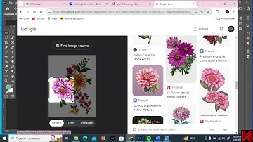 searching for brunch motifs for textile design in adobe photoshop online zoom class