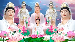 南无观世音菩萨圣号 七字五音 加长板🌿祝福🌻大家平安吉祥🌷得菩薩保佑🙏 消除災禍、帶來福報🌷每日聽一聽淨心又自在🙏🌷🌿Buddhist Songs