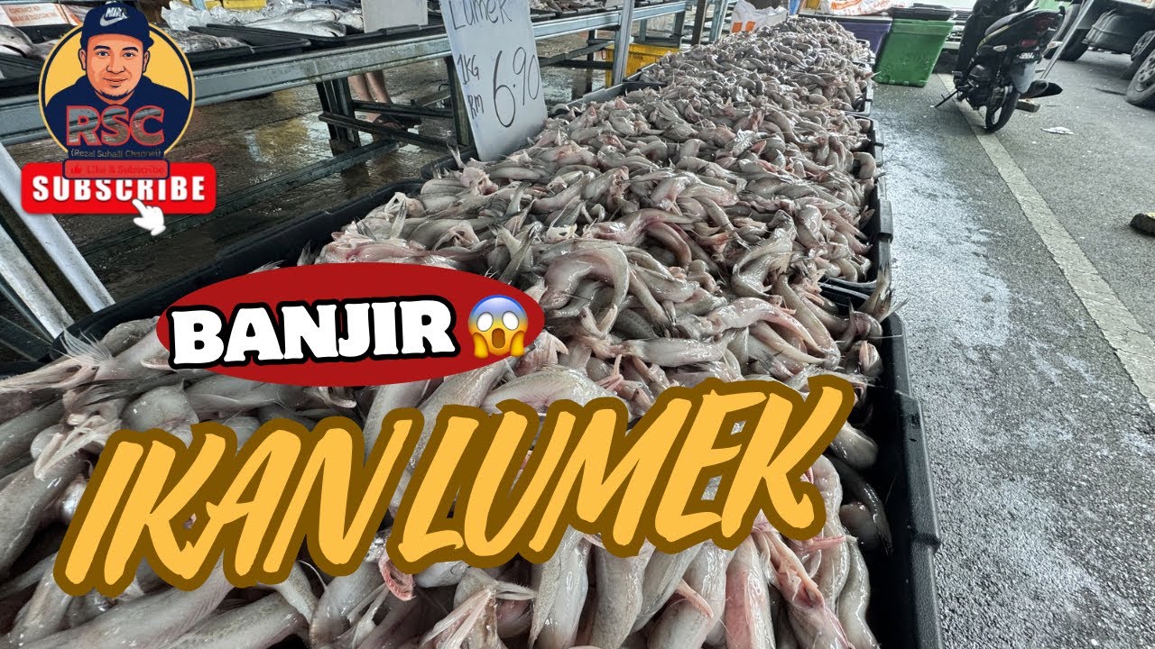 IKAN LUMEK GEMOK GEMOK