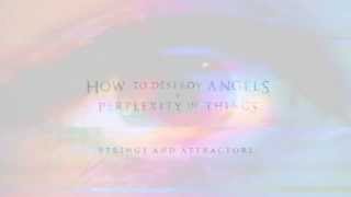 How to Destroy Angels - Strings and Attractors (Perplexity of Things version)