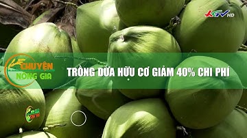Trồng dừa hữu cơ giảm 40% chi phí | CHUYỆN NÔNG GIA