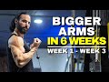 Bigger Arms in 6 Weeks | Week 1 - Week 3