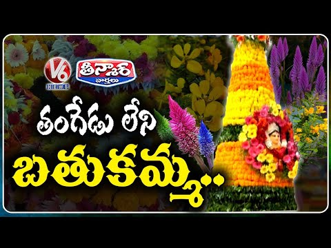Tangedu, Gunugu Flower Shortage For Bathukamma Festival | V6 Teenmaar - V6NEWSTELUGU