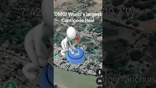 😶‍🌫😱OMG! WORLD LARGEST CANTIPEDE ON GOOGLE map 🗺️ #trending #shorts #funny #subscribe #map