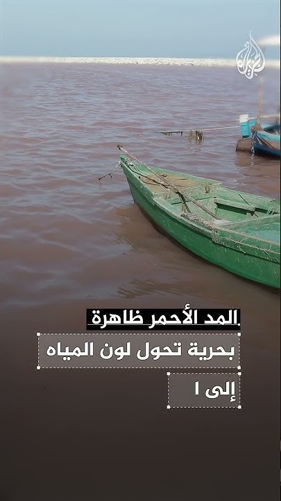         
 - نشر قبل 38 دقيقة