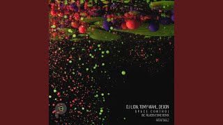 Space Control (Original Mix)