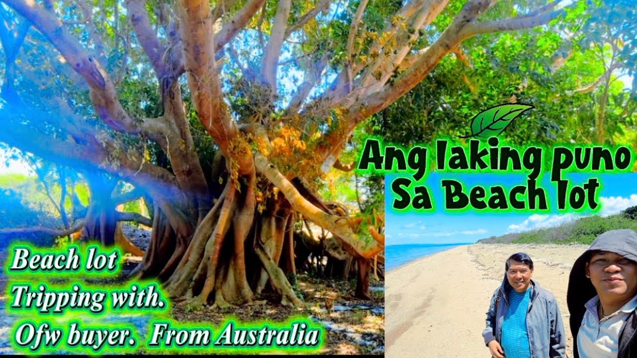 Farm w/ Beachfront lot For Sale Tripping w/ Ofw buyer from Australia.. 