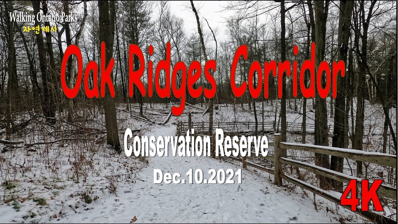 [4K] Oak Ridges Corridor Trail, Richmond Hill, #2, [Dec. 10, 2021