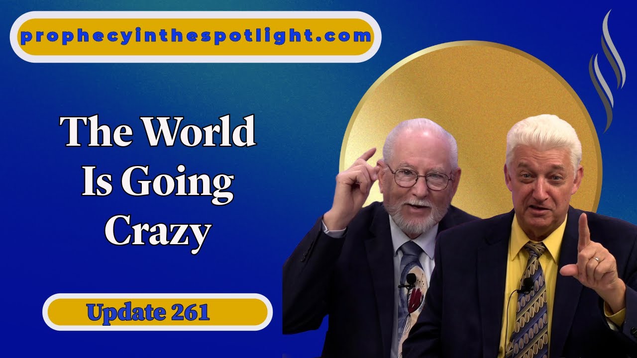 Is The World Going Crazy Update 261 YouTube