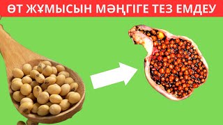 ӨТ жұмысын МӘҢГІГЕ ТЕЗ қалпына келтірдім. Өт ауруы белгілері