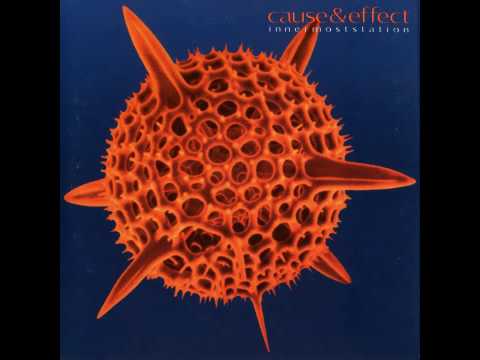 Cause & Effect — Cause & Effect - Real