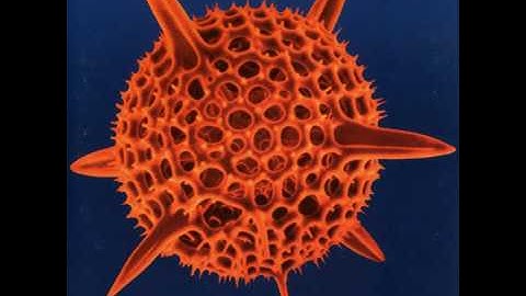 Cause & Effect - Real