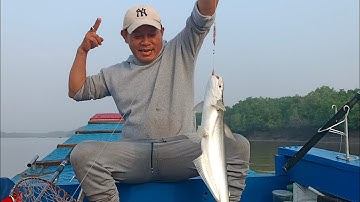 Câu cá Bông Lau, cần thủ mới chinh phục cá Bông Lau | Sông Nước Cần Giờ - Châu Huỳnh.