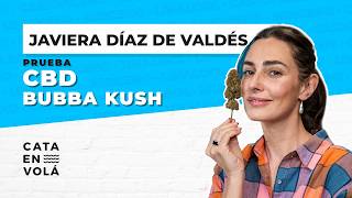 JAVIERA DÍAZ DE VALDÉS EN CATA EN VOLÁ