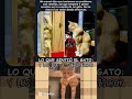 que sigma el gato#memes#humor#cat#sigma#viral#100k