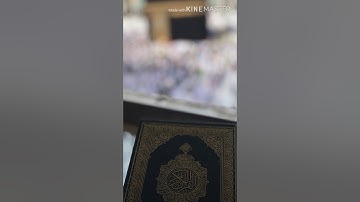 سورة العاديات - القارعة - التكاثر بصوت الشيخ : ياسر القزلان .