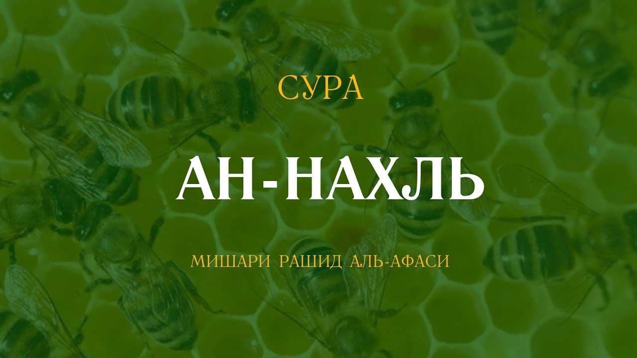 Сура ан нахль. Сура пчелы. Транскрипция Суры АН-Нахль пчёлы. Сура пчелы текст.