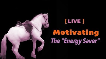 Motivating the lazy horse