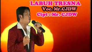 Labuh Tresna - Mr. CJDW (Official Music Video)