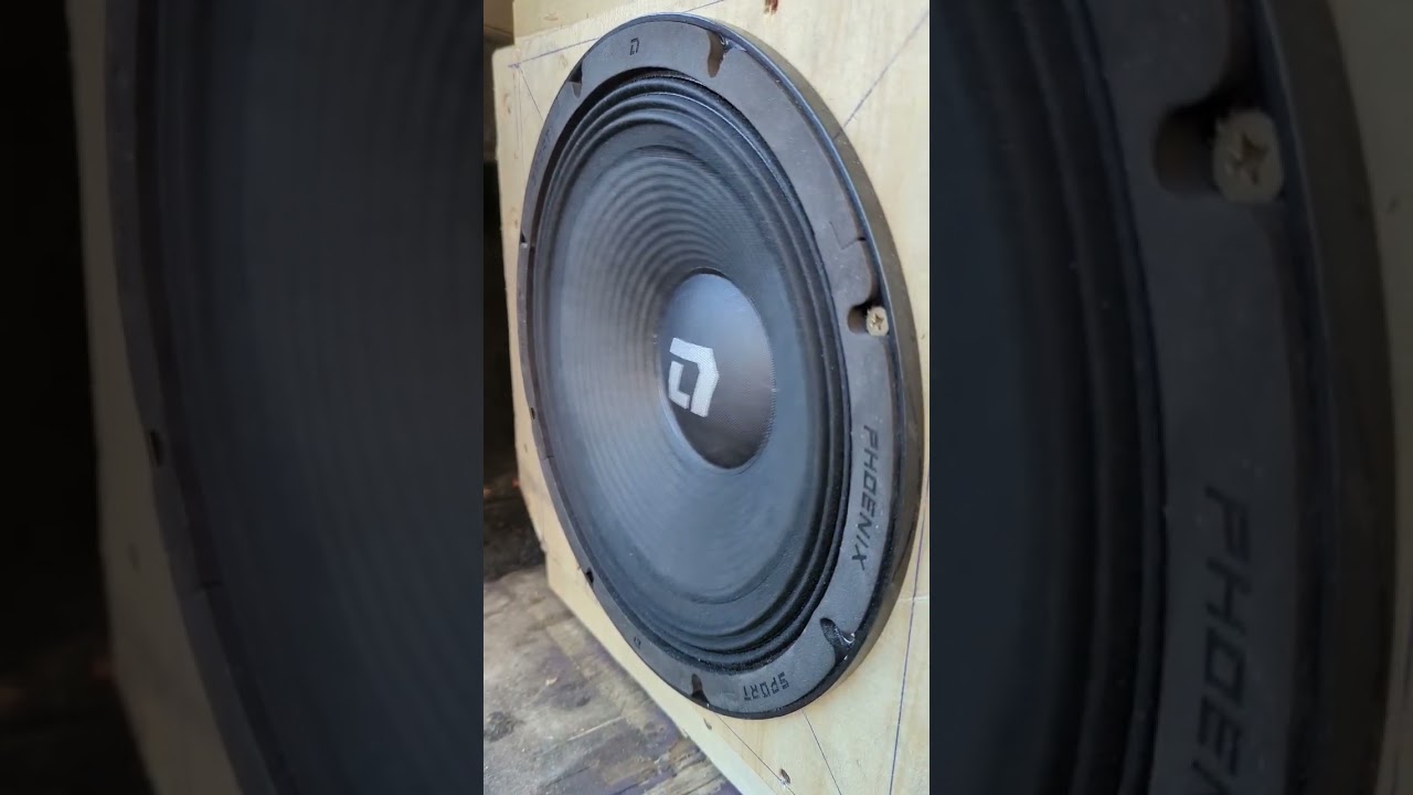 Dl audio phoenix sport 12