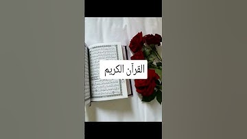 القرآن الكريم #ماهر_المعيقلي #اكسبلور #فايسبوك #كتب #duet #youtube #تيك_توك #لايك #تليگرام #دويتو