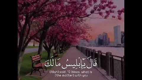 قال يا ابليس مالك الا تكون مع الساجدين/ هزاع البلوشي/ تلاوه خاشعه/ حالات واتس آب