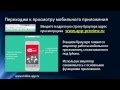 Мобильное приложение Santegra