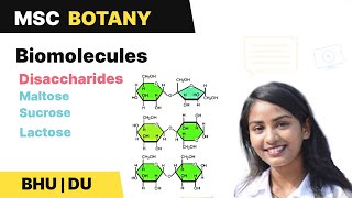 Disaccharides | Sucrose | Maltose |  Lactose | Mutarotation | BHU | DU MSc Entrance | In Hindi