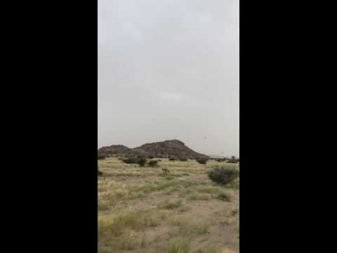 ربيع شرق مركز الحمضة1437