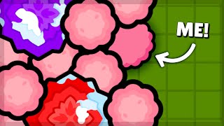 Fooling The Biggest Compeive Zombsroyale Matches...