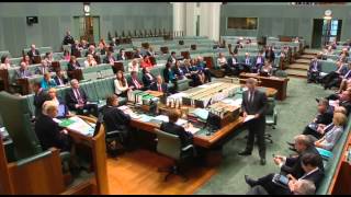Kathy Jackson ruled unparliamentary (Question Time, 28/10/14)