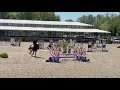 Cheval à vendre - Jument SF 6 ans Top génétique et gros potentiel - Vidéo 2 - equirodi.com