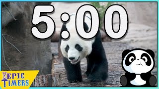 5 Minute PandaTimer with relaxing music for classrooms and more