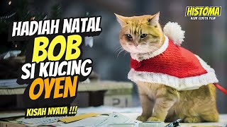 KISAH NYATA‼️ Natal Yang Indah Bersama BOB SI KUCING OYEN - Alur Cerita Film