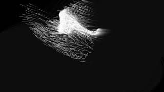 Particle Attractor