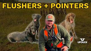 Hunting Upland Birds with British Labs and a German Wirehaired Pointer | Coleton Johnson screenshot 4