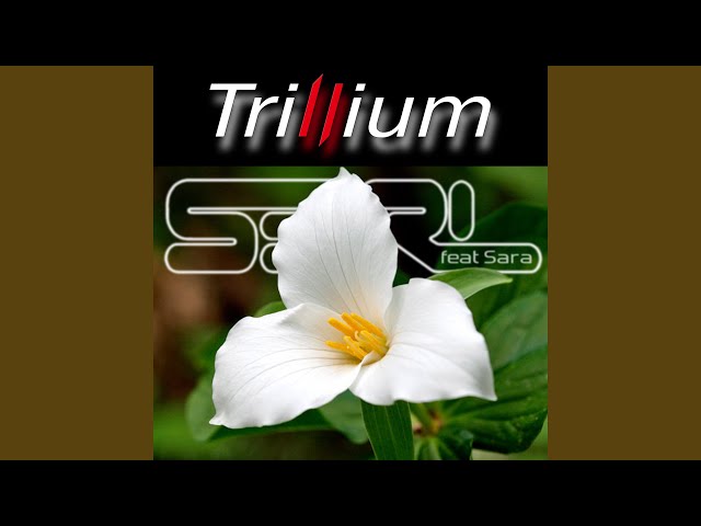 Trillium (feat. Sara)