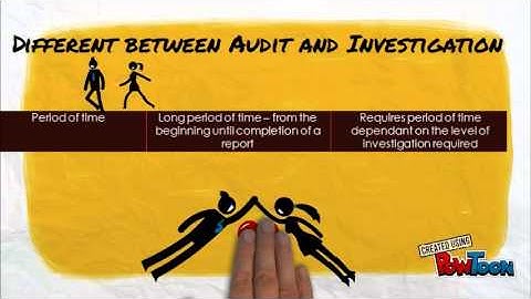 AUDIT INVESTIGATION II