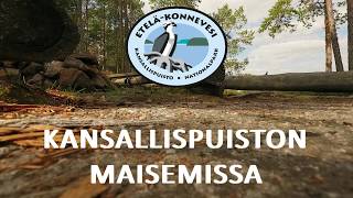 Enjoying clear waters at Southern Konnevesi National Park, Finland