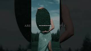 Celebrity There are only three types of people in your life. Wealth